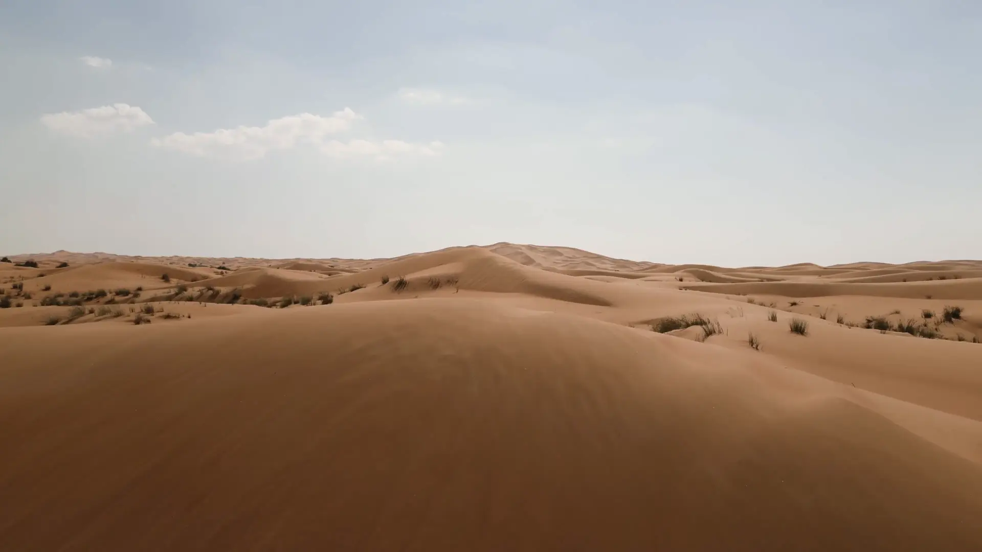 A dune ridge in the UAE desert under an open sky, wind lifting sand off the crest.